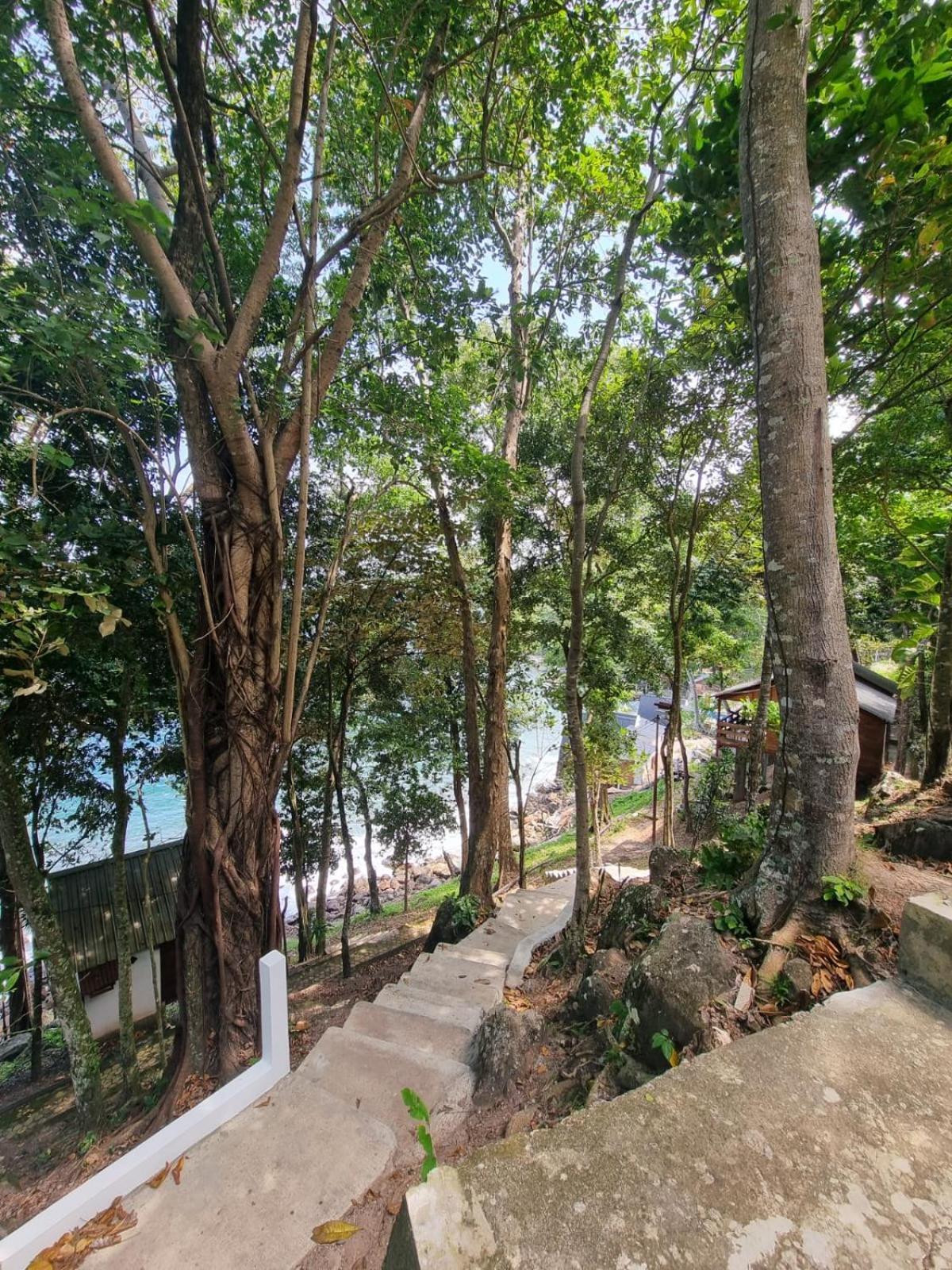 Treetop Guesthouse And Bungalows Sabang  Zewnętrze zdjęcie